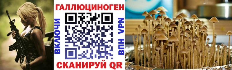 Псилоцибиновые грибы Magic Shrooms  shop клад  Игарка  MEGA ссылки 
